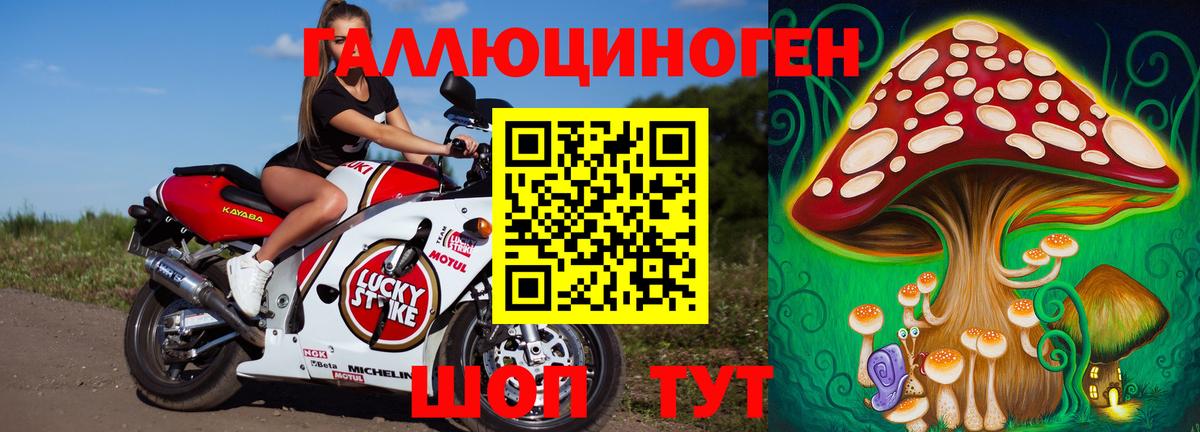 Ревда  Галлюциногенные грибы GOLDEN TEACHER  Галлюциногенные грибы мицелий  где продают наркотики  Вход с VPN 