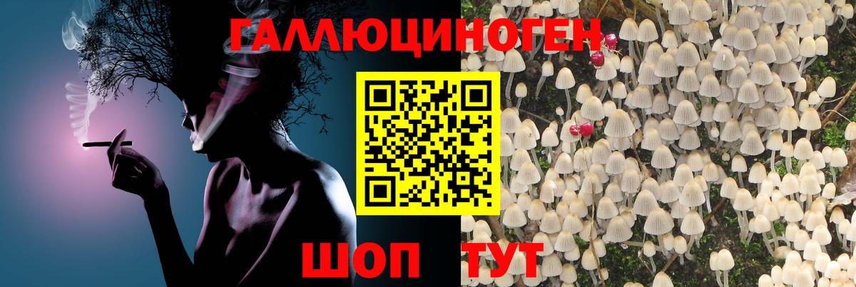 Галлюциногенные грибы Cubensis Ревда